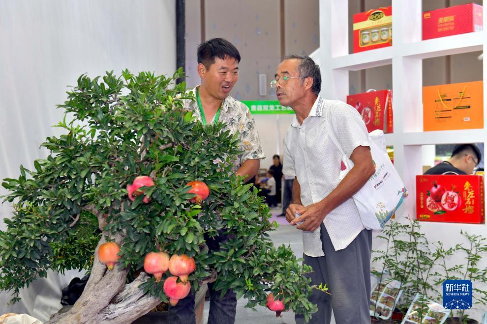 大富豪电玩城官网